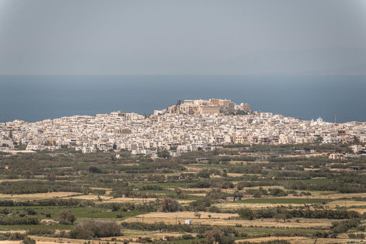 Villa Argo Glinado Naxos Eksteriør billede